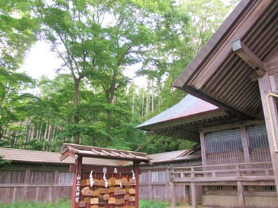 山上大神宮の本殿の周り